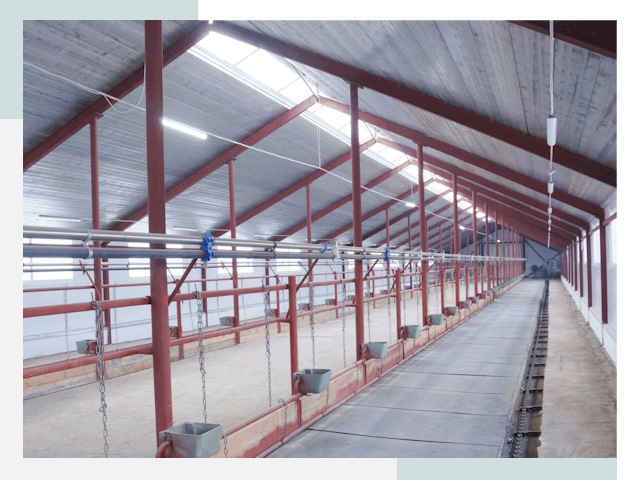 Строительство коровников в Киселевске от 617 руб.