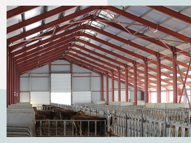 Строительство коровников в Киселевске