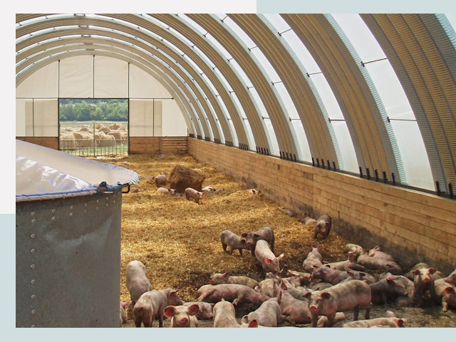 Строительство свинарников в Киселевске