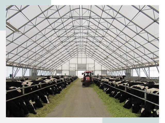 Тентовые коровники в Киселевске от 617 руб. - Надежно и доступно