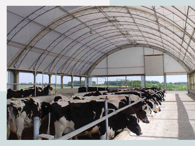 Тентовые коровники в Киселевске